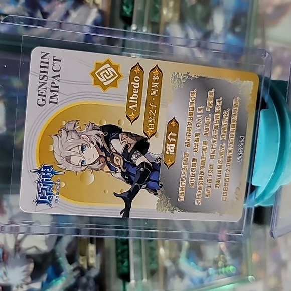 [SLR-006] Albedo - Picture 3 of 3